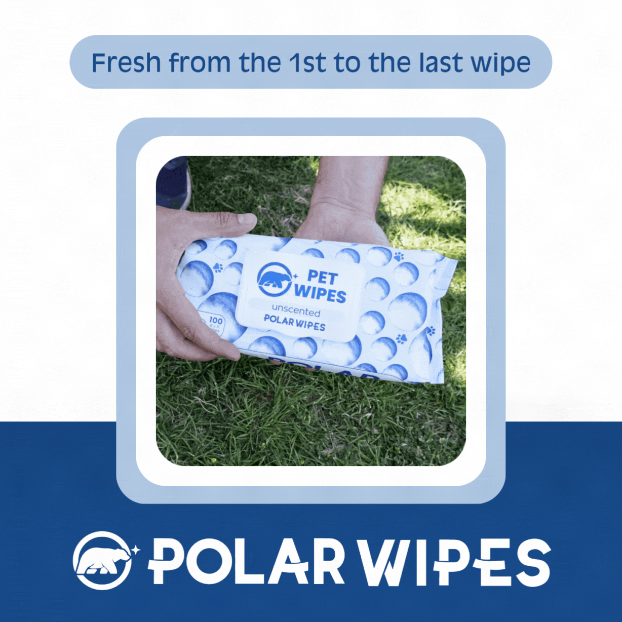 Pet Wipes - Unscented - 400 unit pack