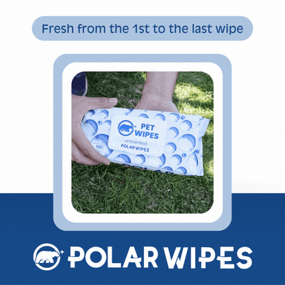 Pet Wipes - Unscented - 400 unit pack