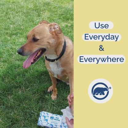 Pet Wipes - Unscented - 400 unit pack
